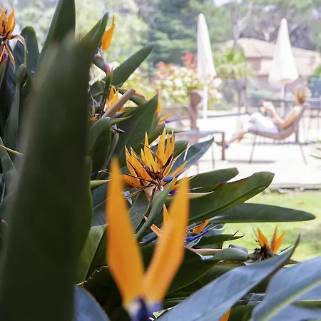 Les Jardins De Hotel Sainte-Maxime