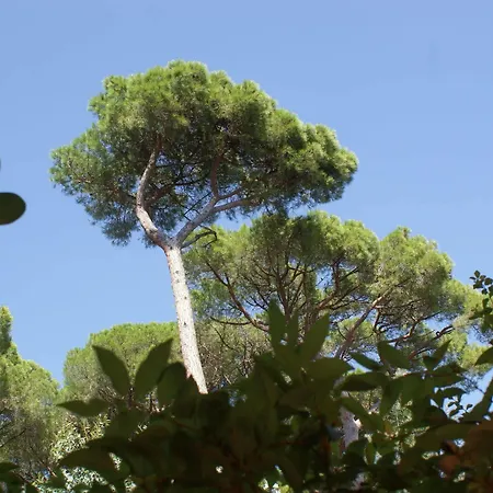 Hotel Les Jardins De Sainte-Maxime